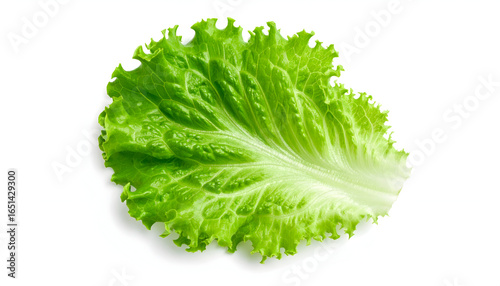 Single Fresh Green Lettuce Leaf Isolated On White Background Showing Detailed Texture and Vibrant Color