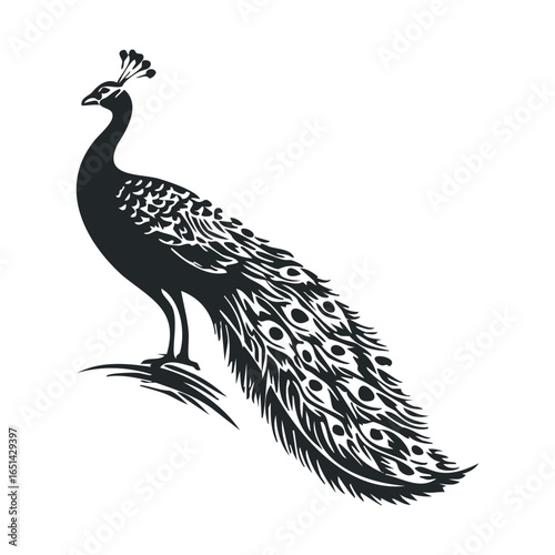 Elegant silhouette of a majestic peacock with intricate tail plumage