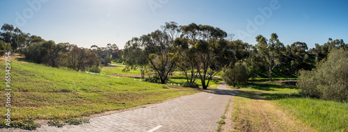 vibrant photos of Playford's landscape transformation. Showcase grant-funded revegetation, mass plantings, and biodiversity at Craigmore Park. Capture spring meadows, young forests