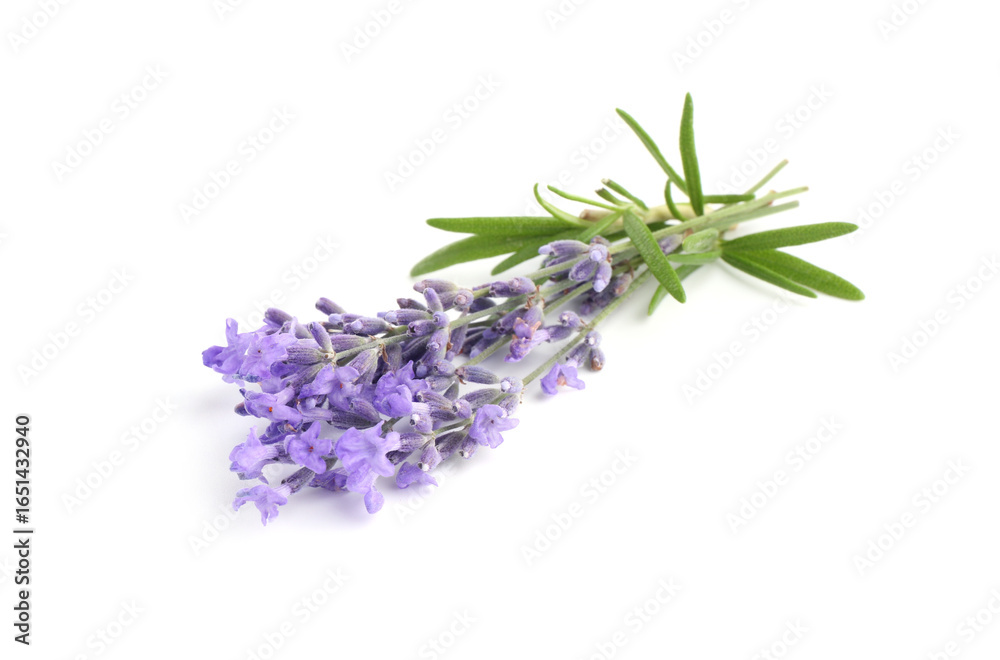 Fototapeta premium Beautiful lavender isolated on white. Fragrant flowers