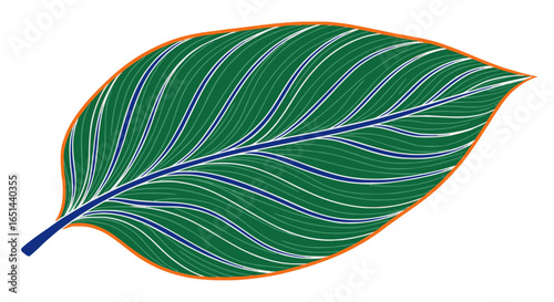 Large tropical leaf with detailed vein structure pattern