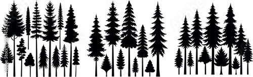 Coniferous Tree Silhouettes – Diverse Pine Tree Shapes on White Background