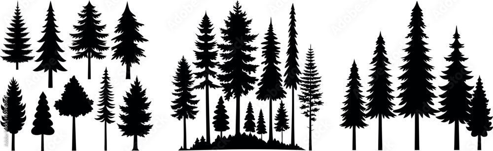 Fototapeta premium Pine Trees Collection – Conifer Tree Silhouettes on White Background Bundle
