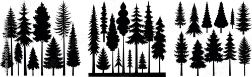 Spruce Tree Silhouette Growing in Forest – Evergreen Tree Vector Illustration