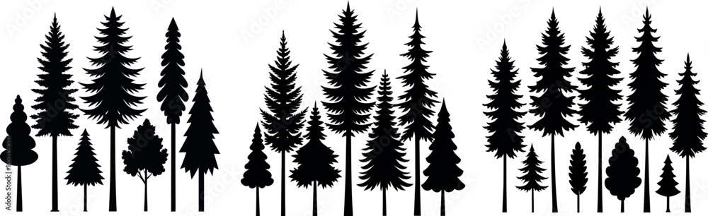 Fototapeta premium Pine Tree Silhouette – Black and White Evergreen with Layered Branches and Symmetrical Shape
