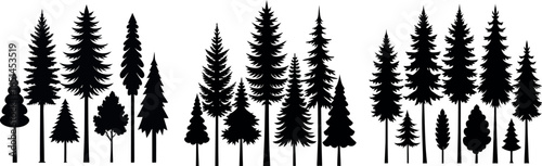 Pine Tree Silhouette – Black and White Evergreen with Layered Branches and Symmetrical Shape