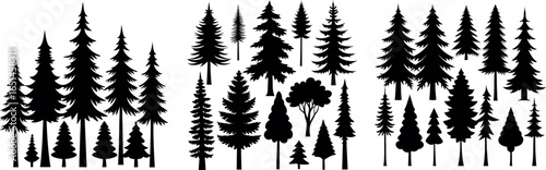 Pine Tree Silhouette – Black and White Evergreen with Layered Branches and Symmetrical Shape