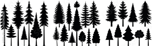 Spruce Tree Silhouette Growing in Forest – Evergreen Tree Vector Illustration