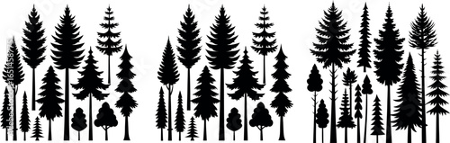 Coniferous Tree Silhouettes – Diverse Pine Tree Shapes on White Background