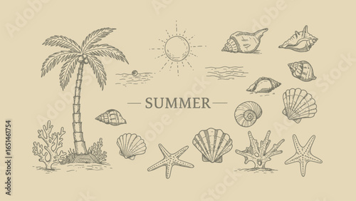 Detailed Hand drawn Summer Beach Ornament Palm Tree Shell Starfish Illustration