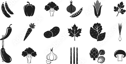 Collection of healthy and fresh vegetables icons, flat vector illustration for organic food, farming, gardening, and vegetarian diet graphics set