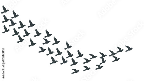 A flock of birds flying in formation against a white background in a diagonal pattern formation
