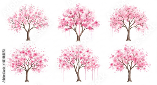 Pink cherry blossom trees, watercolor painting on a white background, spring