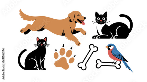 Various pets and related objects illustration on display.