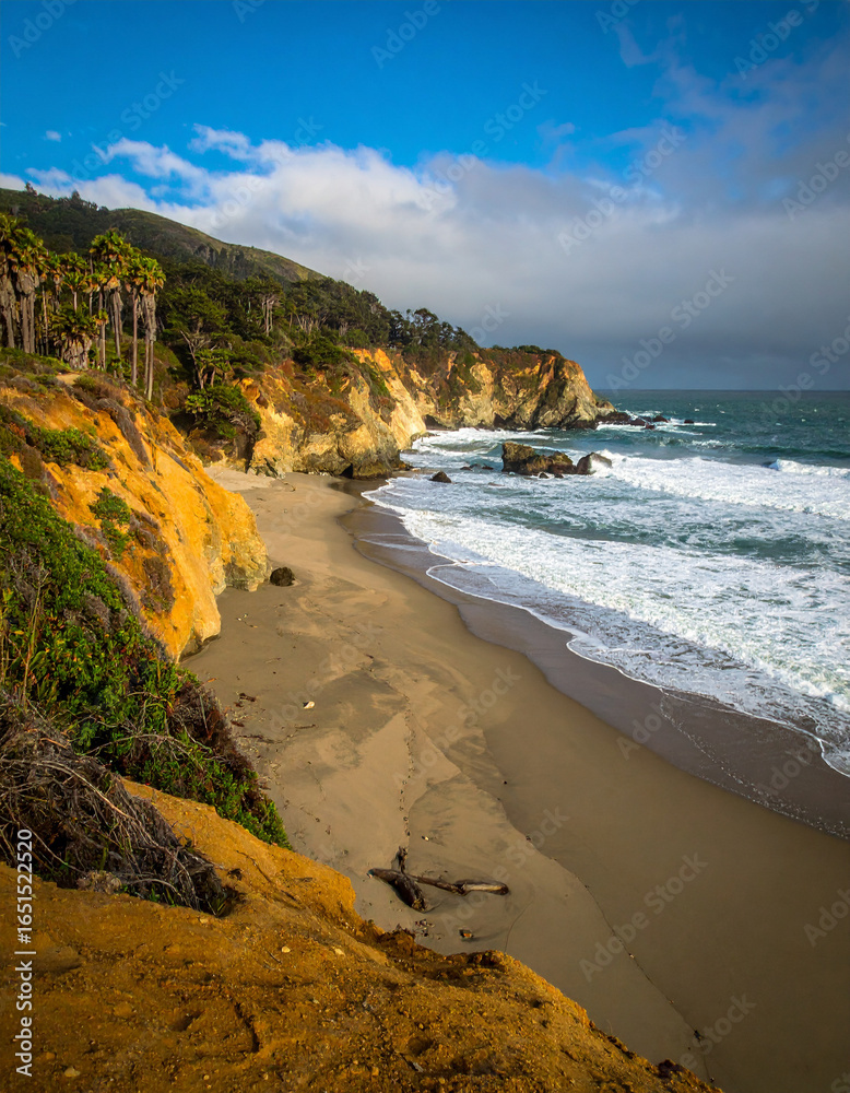 Obraz premium beach at sunset