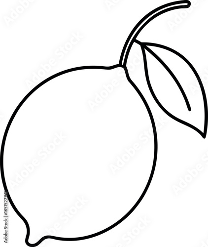 Citron Fruit Outline Vector with Stem and Two Leaves in Black and White
