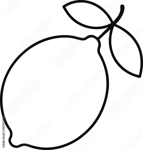 Black Citron Fruit Outline Vector with Leaves and Smooth Curves