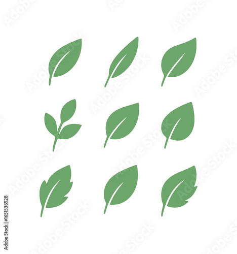 Botanical Leaf Silhouettes Set – Minimalist Nature Icons Collection