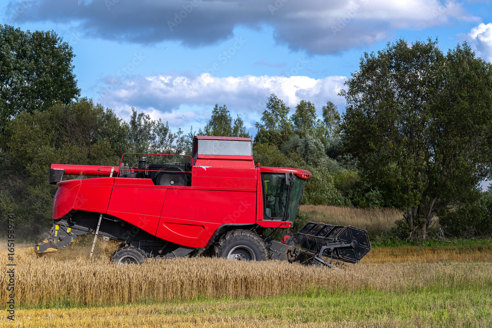 Fototapeta premium combine harvester on wheat field