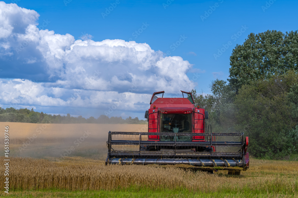 Fototapeta premium combine harvester working on a field