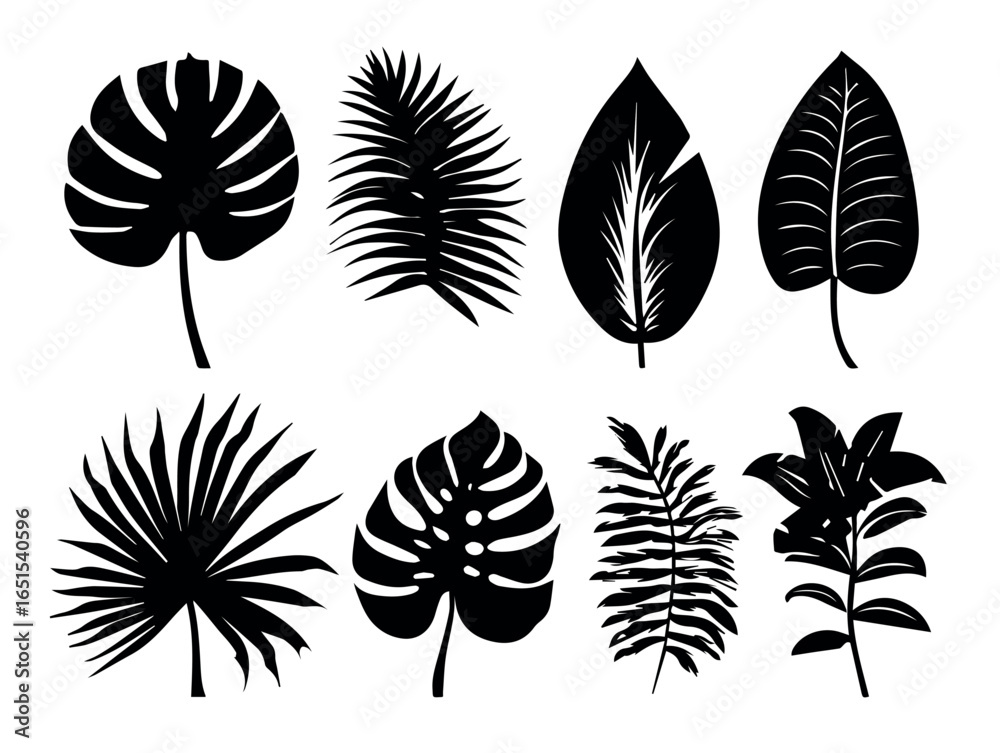 Obraz premium Tropical leaves vector illustration of different types of foliage silhouette design element