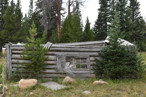 Bild auf Leinwand Log Cabin in the woods