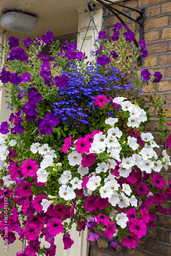 Wallpaper Mural Cesta  colgante  con petunias multicolores Torontodigital.ca