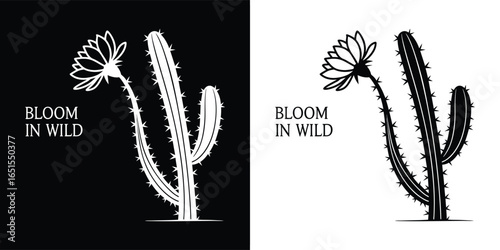 A blooming cactus with the words bloom in wild, symbolizing the beauty and resilience of desert flora
