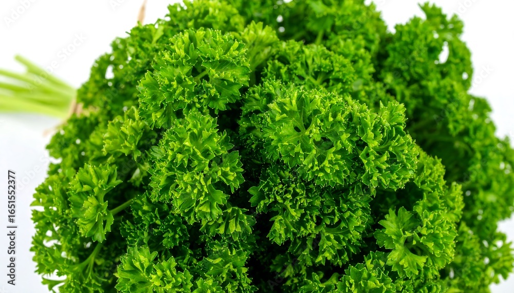 Obraz premium Close-up view of fresh parsley sprigs.
