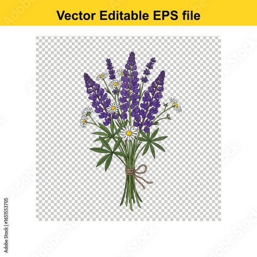 A beautiful bouquet of lupine and daisy wildflowers tied with twine, vector illustration