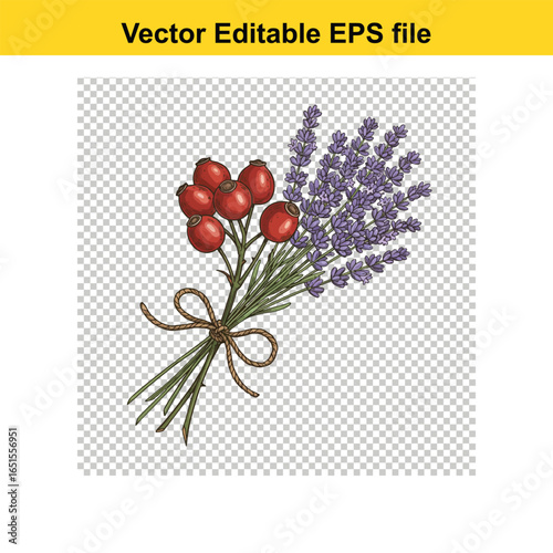 A beautiful handdrawn bouquet of rose hips and lavender flowers, isolated on a transparent background