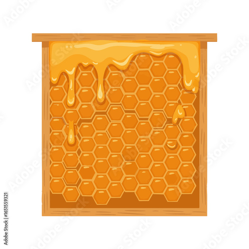 Vector illustration of beehive frame with honey on white background, nature theme 