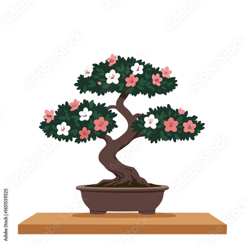 Vector illustration of bonsai tree on table on white background, nature theme