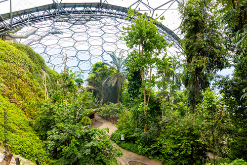 Billede på lærred Lush tropical rainforest inside a geodesic dome at the Eden Project, showcasing
