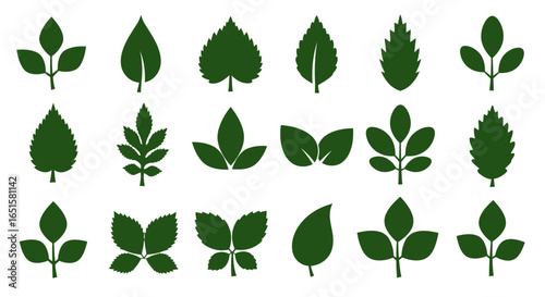 Stylized green leaf silhouettes presented as versatile vector graphics, ideal for organic and environmental design projects.
