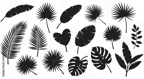 High-resolution vector PNG set of various tropical leaves silhouettes, perfect for design projects needing a natural, summery feel.  Ideal for adding a touch of the tropics to your artwork, website,