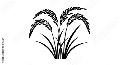 Stylized black and white vector illustration of rice stalks with leaves, perfect for agricultural or food-related designs.