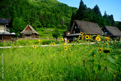 五箇山板倉集落