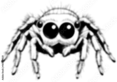 Cute black and white dot-art jumping spider with big eyes, vector illustration