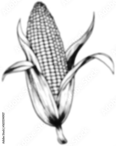 Halftone black and white illustration of an ear of corn with husks