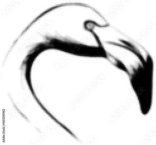 Minimalistic black and white halftone flamingo art, abstract digital illustration