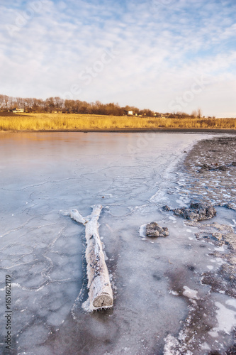 A log partially frozen in a quiet lake covered with thin ice, with a line of trees on the distant shore.