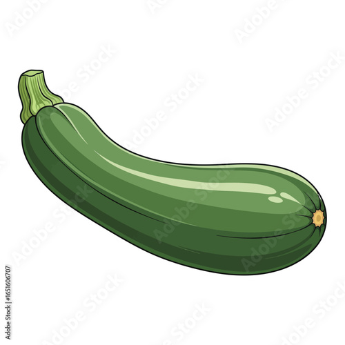 Illustration of a single, fresh, green zucchini squash with a short stem, isolated on a white background.