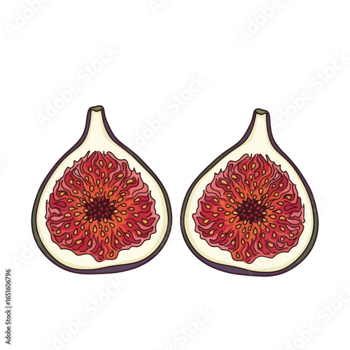 Two halves of a ripe fig, cut open to reveal the juicy, red interior.