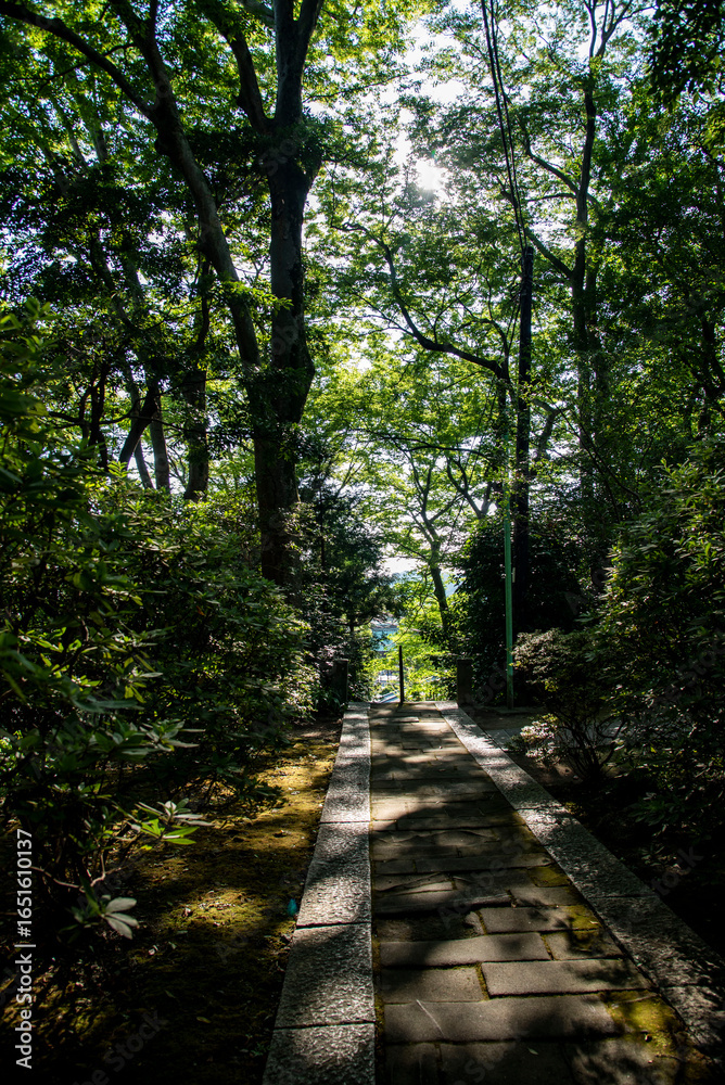 Obraz premium 鎌倉25815 妙本寺1