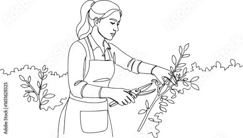 Elegant line art illustration of a woman pruning plants with gar