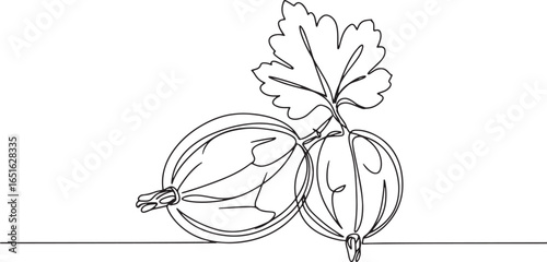 Continuous line illustration showcasing ripe gooseberries with d