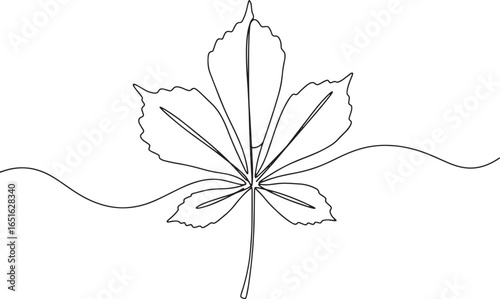 Elegant simplicity: a single line drawing of a chestnut leaf on