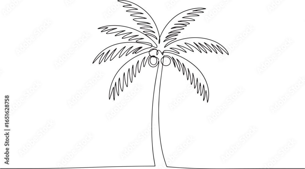 Fototapeta premium Minimalist coconut palm tree illustration in continuous line dra