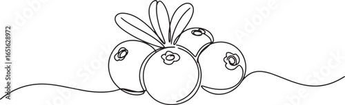 Elegant continuous line drawing showcasing fresh cranberry fruit